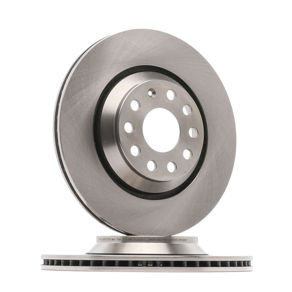 Pair of brake discs rear SKODA SUPERB II, VOLKSWAGEN GOLF VI PASSAT